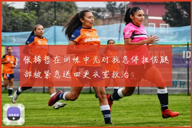 张稀哲在训练中无对抗急停扭伤腿部被紧急送回更衣室救治